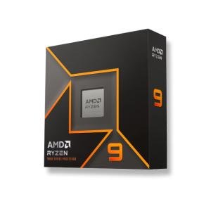 AMD Ryzen 9 9900X Processor