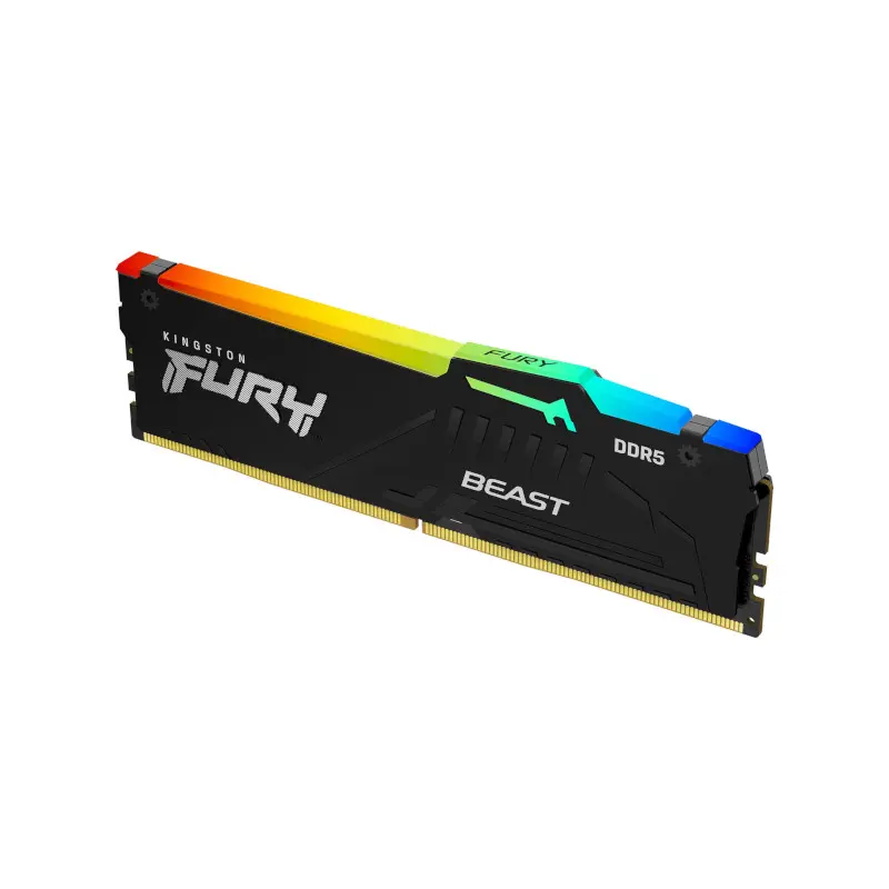 Kingston Fury Beast Black RGB Expo 16GB 6000MT/s DDR5 CL30 DIMM Desktop Gaming Memory Single Module (KF560C30BBEA-16)